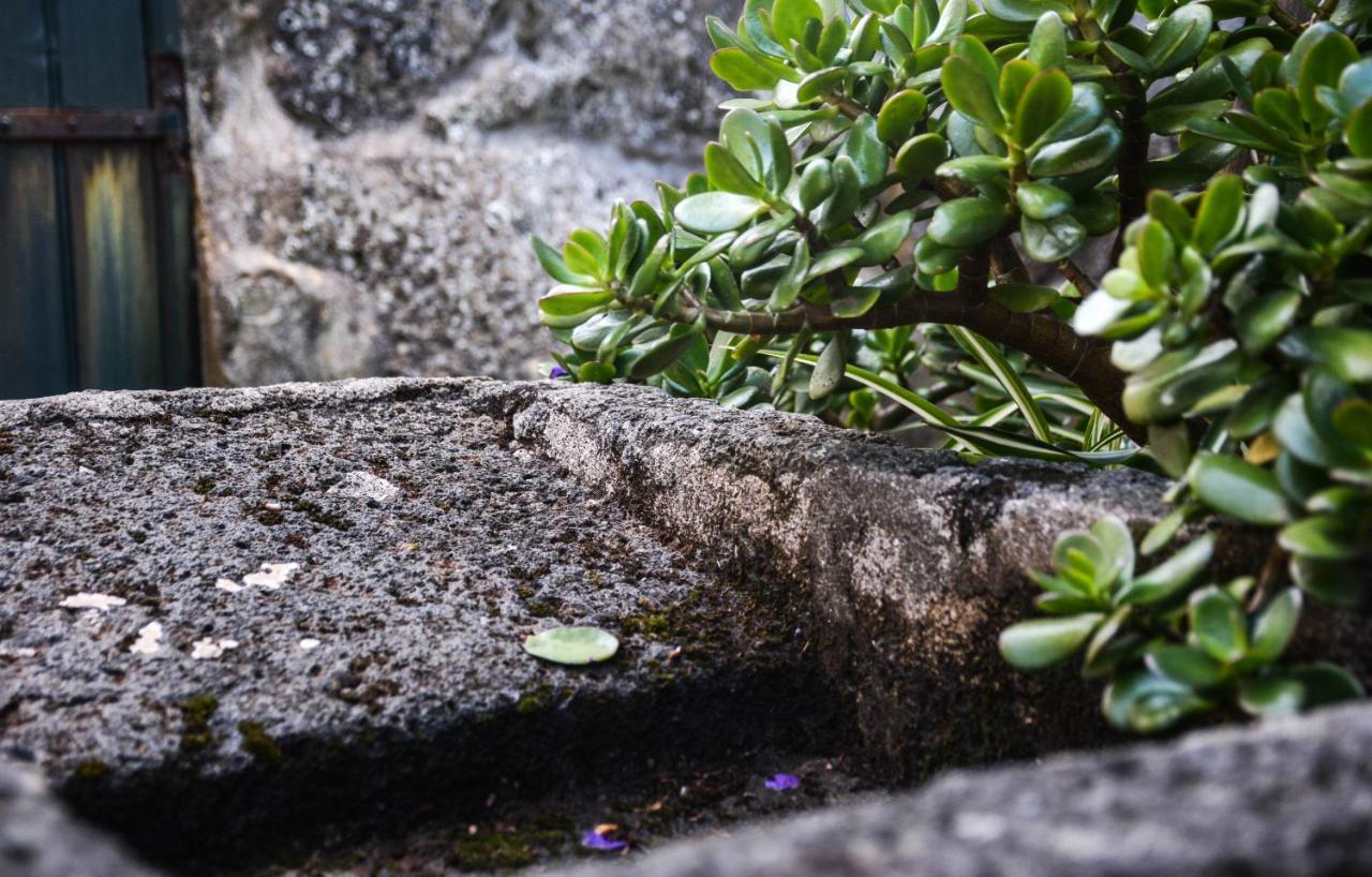 Santa Cruz da GraciosaQuinta Dos Frutos别墅 外观 照片