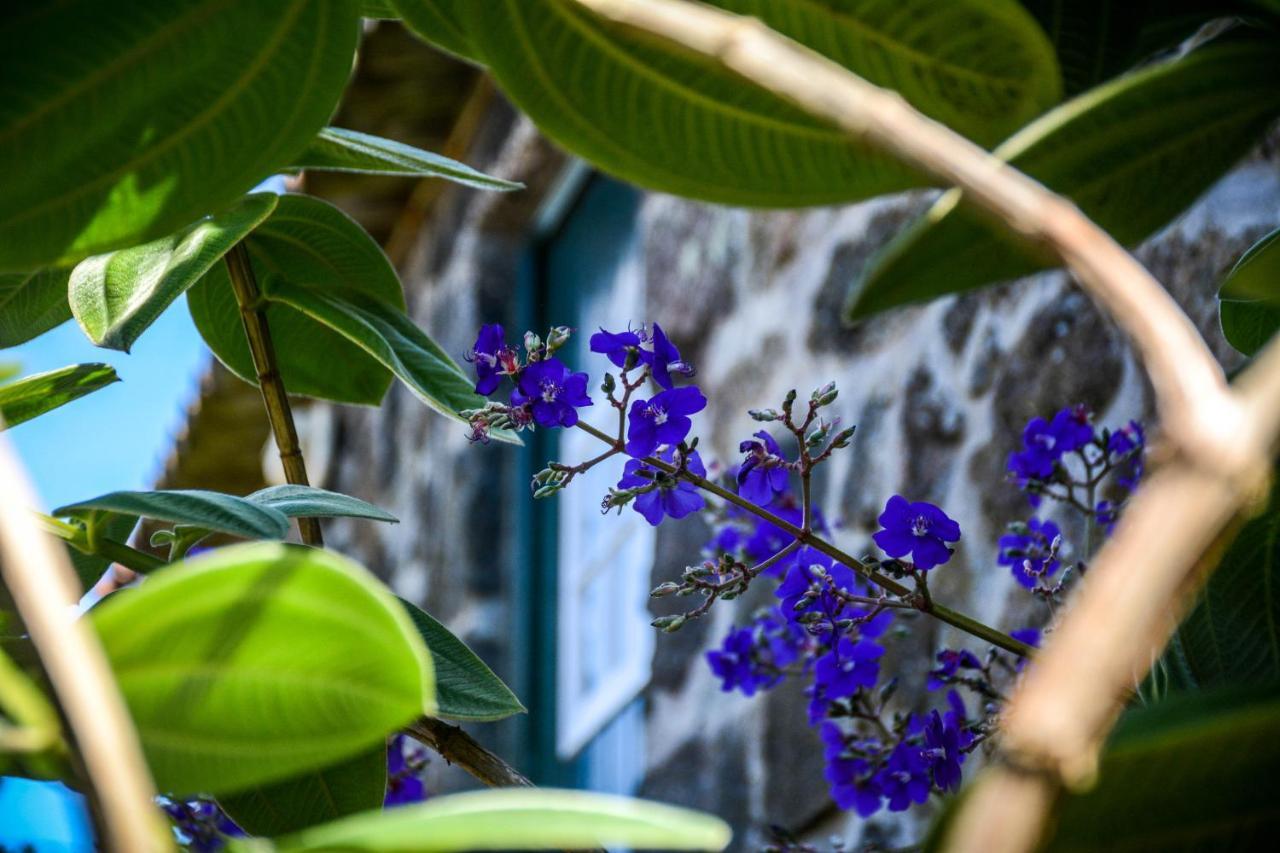 Santa Cruz da GraciosaQuinta Dos Frutos别墅 外观 照片