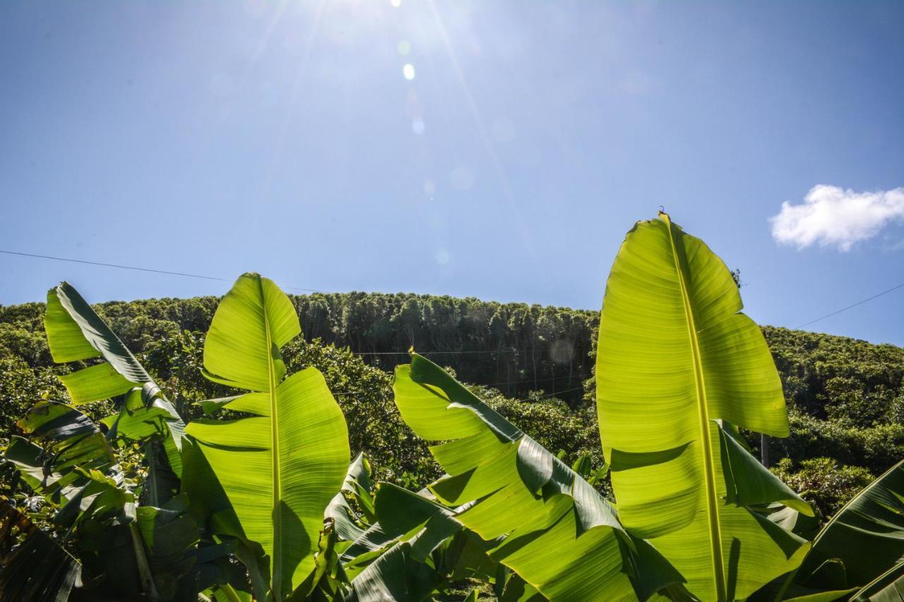 Santa Cruz da GraciosaQuinta Dos Frutos别墅 外观 照片