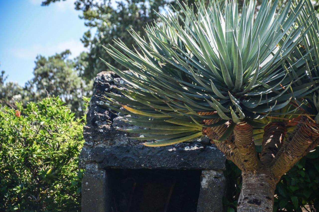 Santa Cruz da GraciosaQuinta Dos Frutos别墅 外观 照片